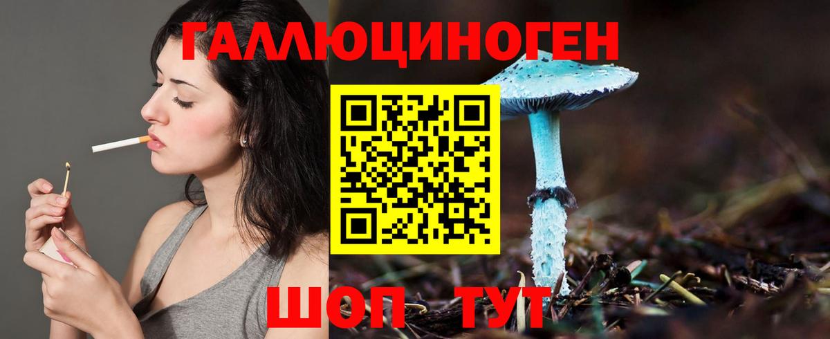 Псилоцибиновые грибы Psilocybe  где продают наркотики  Вход с VPN  Новоалександровск  Галлюциногенные грибы Cubensis 
